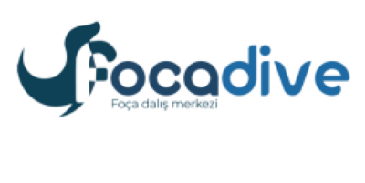 Hizmetler 13 focadalis 1 1